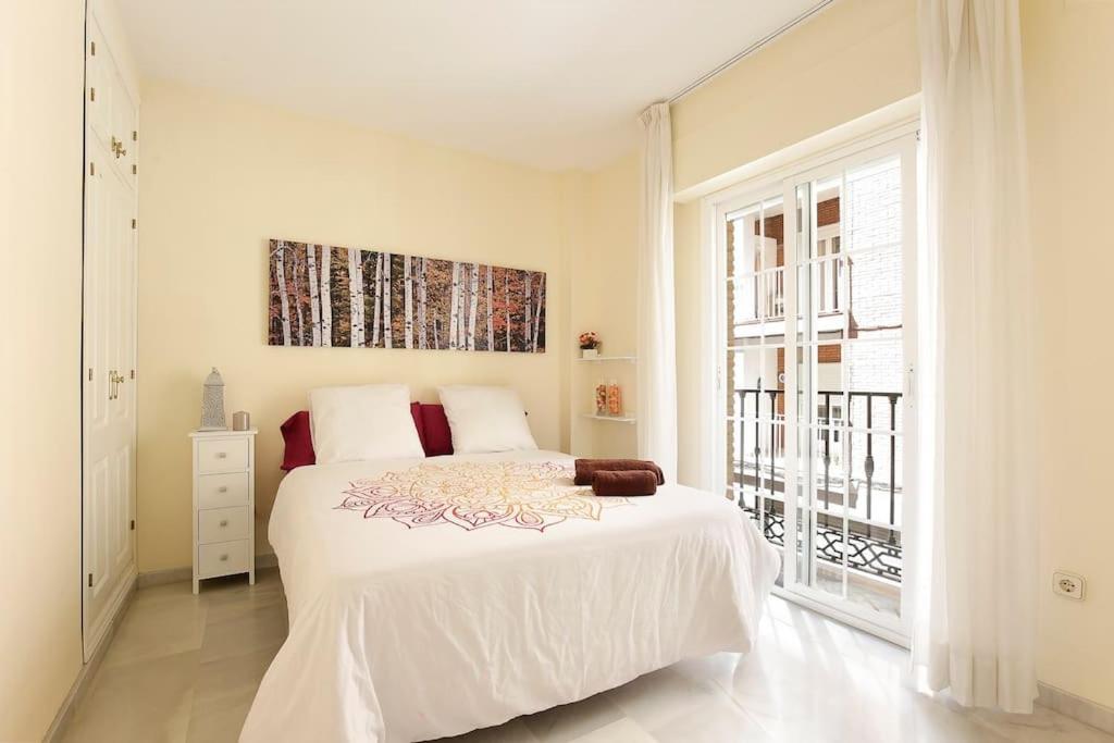 Agradable Piso En El Centro Historico Apartment *